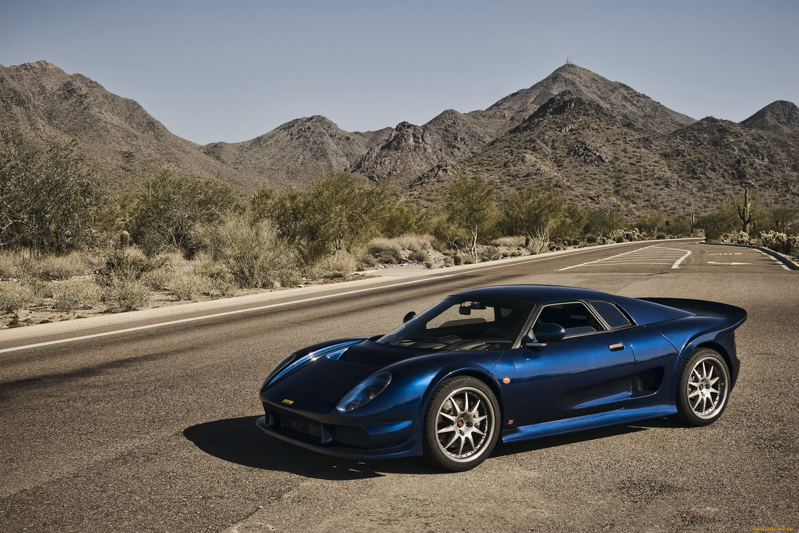 , lotus